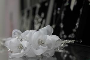 brauaccessoires